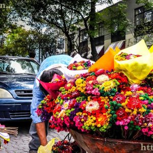 Flower peddler in Coyocan